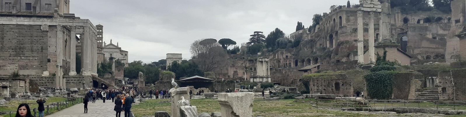 הפורום ברומא איטליה