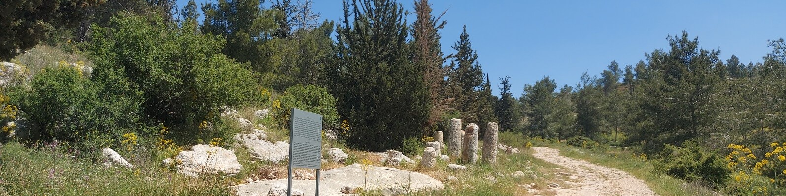 דרך עולי הרגל לירושלים