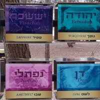 כוהנים ונביאים במקדש