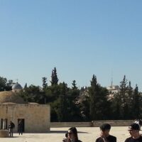 Alchemy and the Umayyad Dynasty