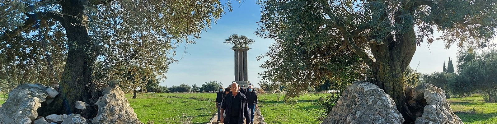 עמוד הזיתים רן מורין רמת רחל ירושלים