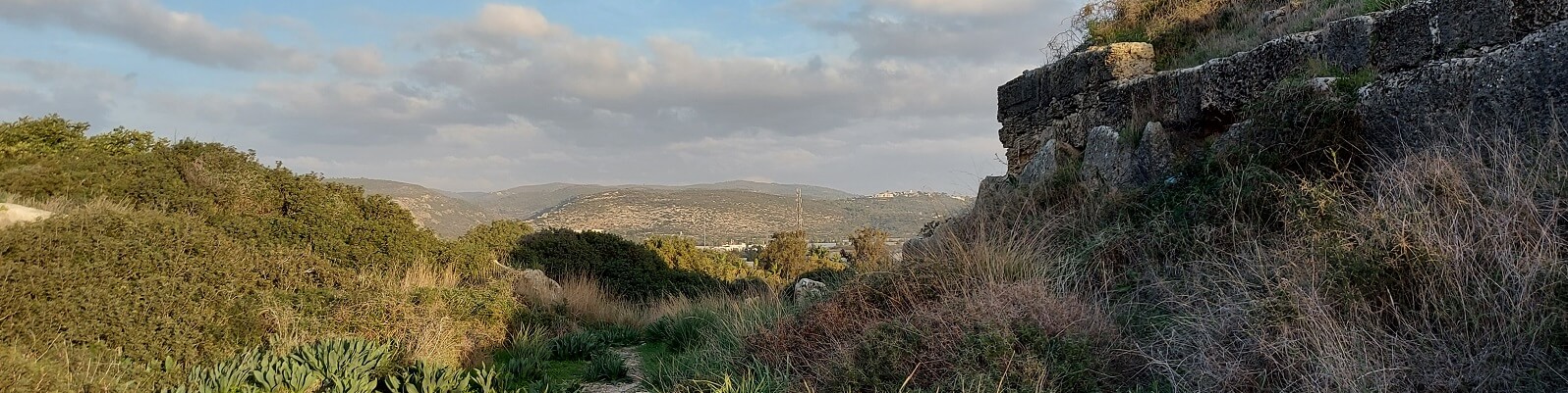 בדרך לירושלים דרך הדקל